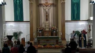 Vigil - 33rd Sunday in Ordinary Time