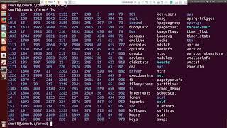 Detailed Explanations of Linux File System(Raspberry Pi &Ubuntu)