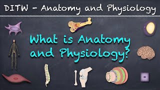 DITW  What is Anatomy and Physiology?