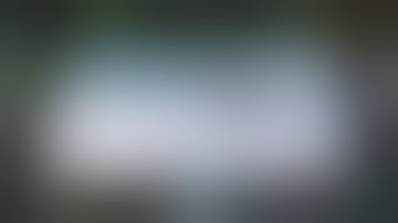 Snub Nose PPC Urbanmech double kill.