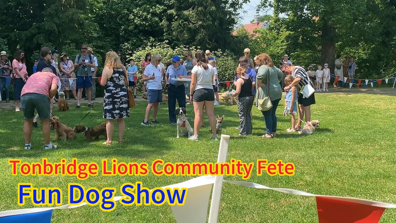 Tonbridge Lions Community Fun Dog Show YouTube