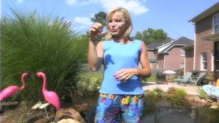 How To Strengthen Your Heart Muscle