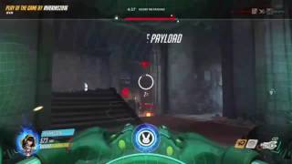 D.Va Eichenwalde