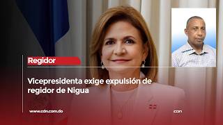 Vicepresidenta Pide Expulsar Regidor Prm Acusado Agresión