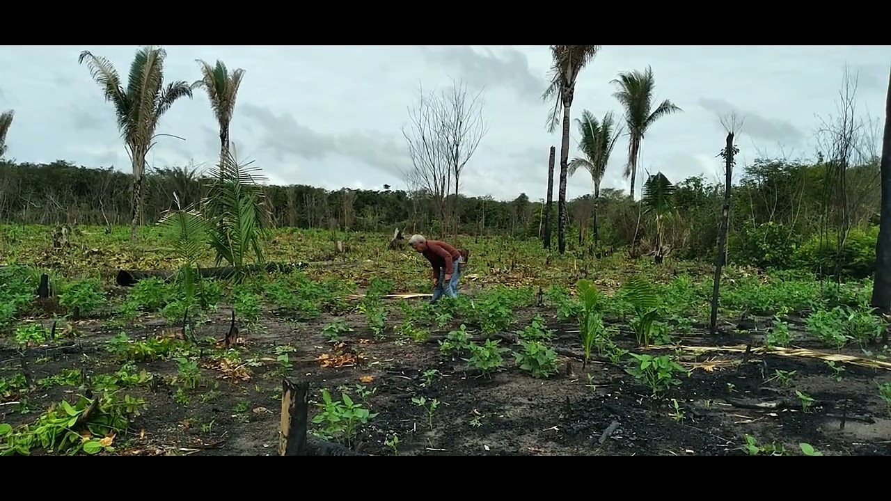 13 de fevereiro de 2026