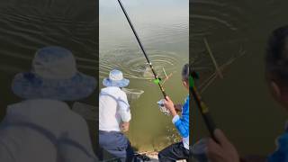 🤩🤣🎣 Big Fish Hunting 😀☺️ || Fail compilation #shorts #fishing