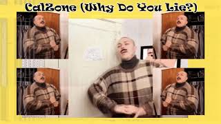 CalZone (Why Do You Lie?) [Cal Chuchesta Tribute Meme Song]