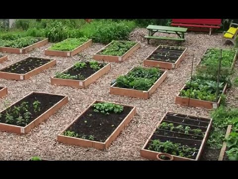 400 Oak Street Garden City