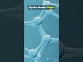 “The Chemistry of Life: Understanding Amino Acids”