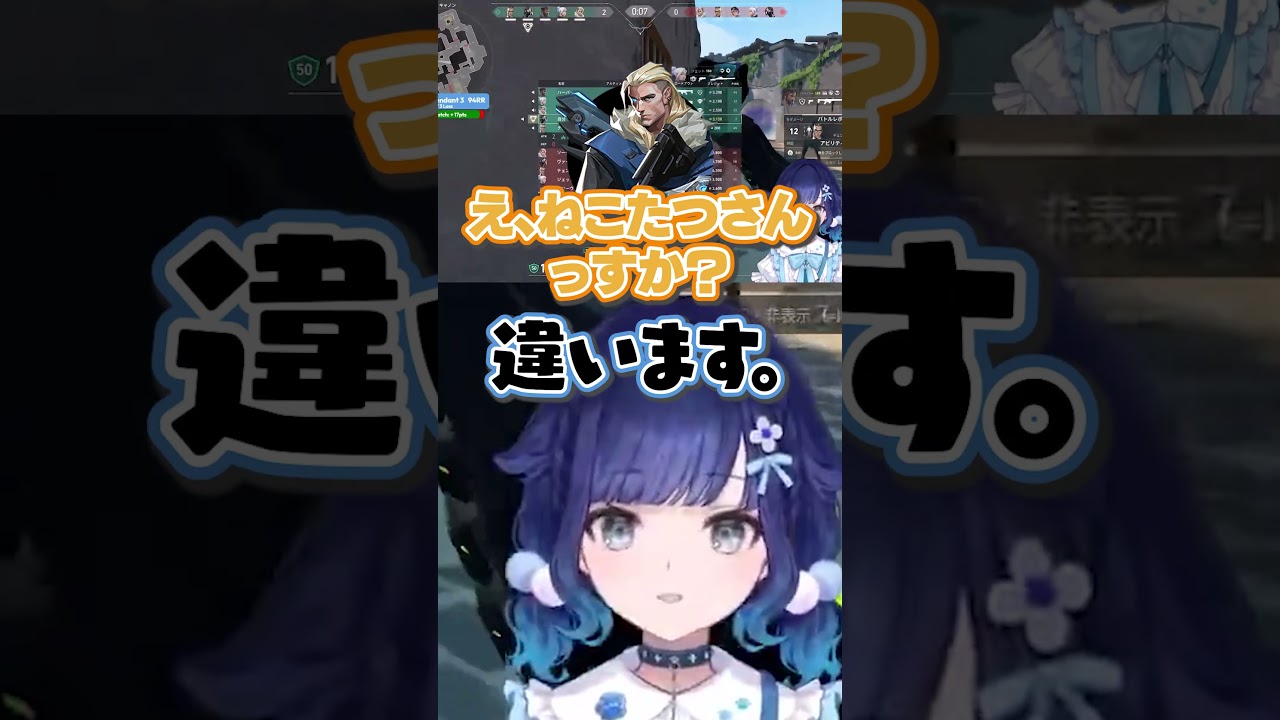 野良にねこたつと間違えられるつむお【紡木こかげ/VALORANT】
