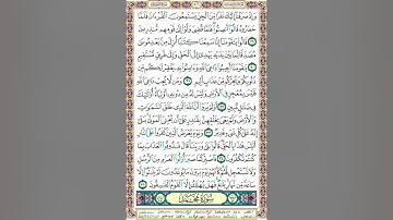 سورة اﻷحقاف /الغامدي/506