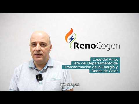 Segunda convocatoria de RENOCOGEN: ayudas para plantas de cogeneración y tratamiento de residuos