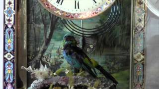 Singing Bird Clock by Bontems