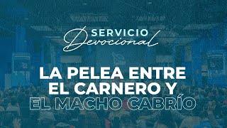 La Pelea entre el Carnero y Macho Cabrío - Apóstol Sergio Enríquez | Primer Servicio