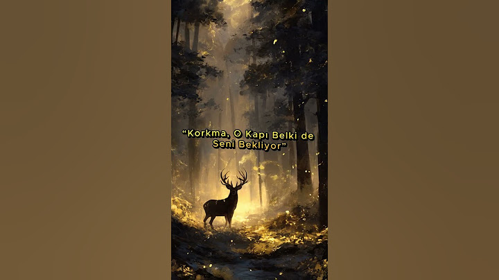 “Bir Kapı, Bir Yol… Ve İçindeki Güç”  2