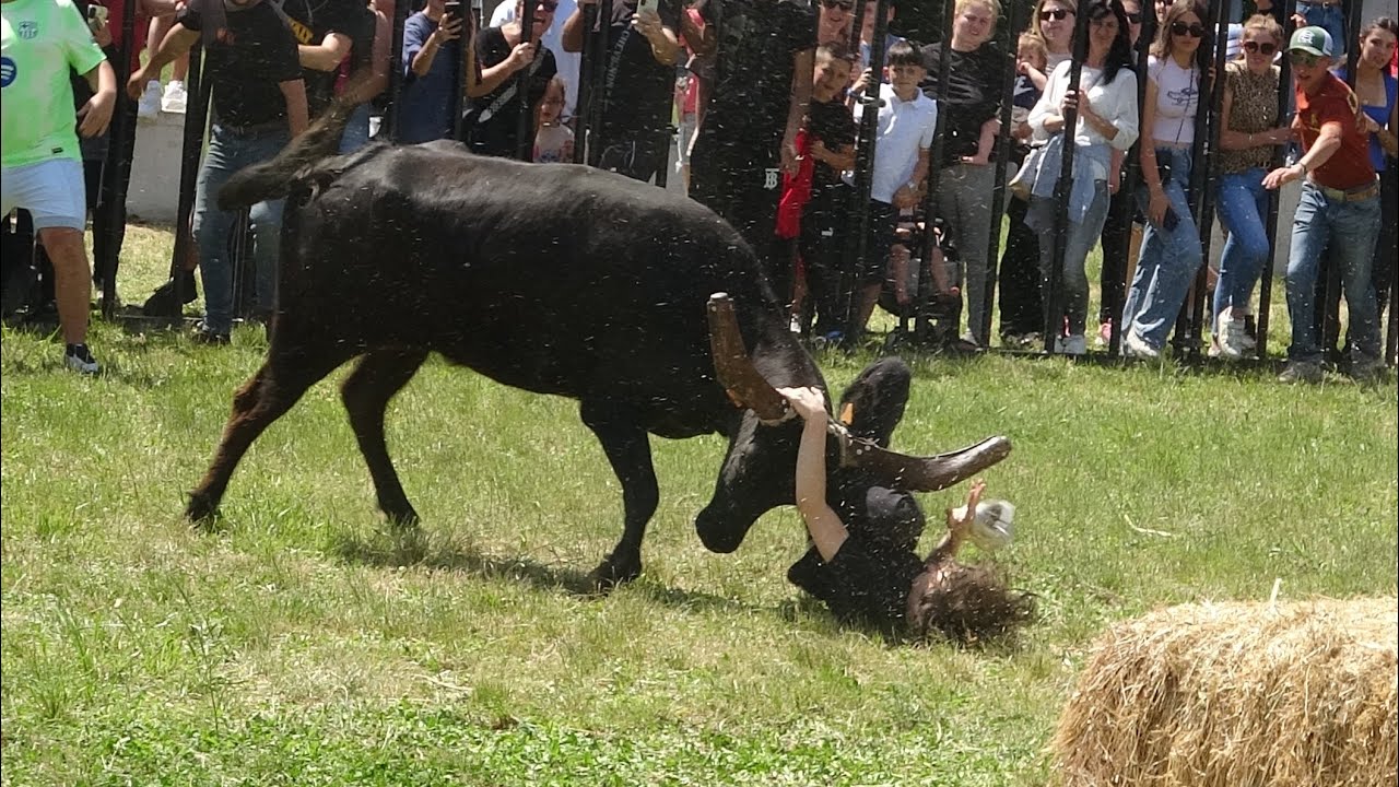 ST HILAIRE DE BRETHMAS COURSE AU PLAN 23-24/05/25