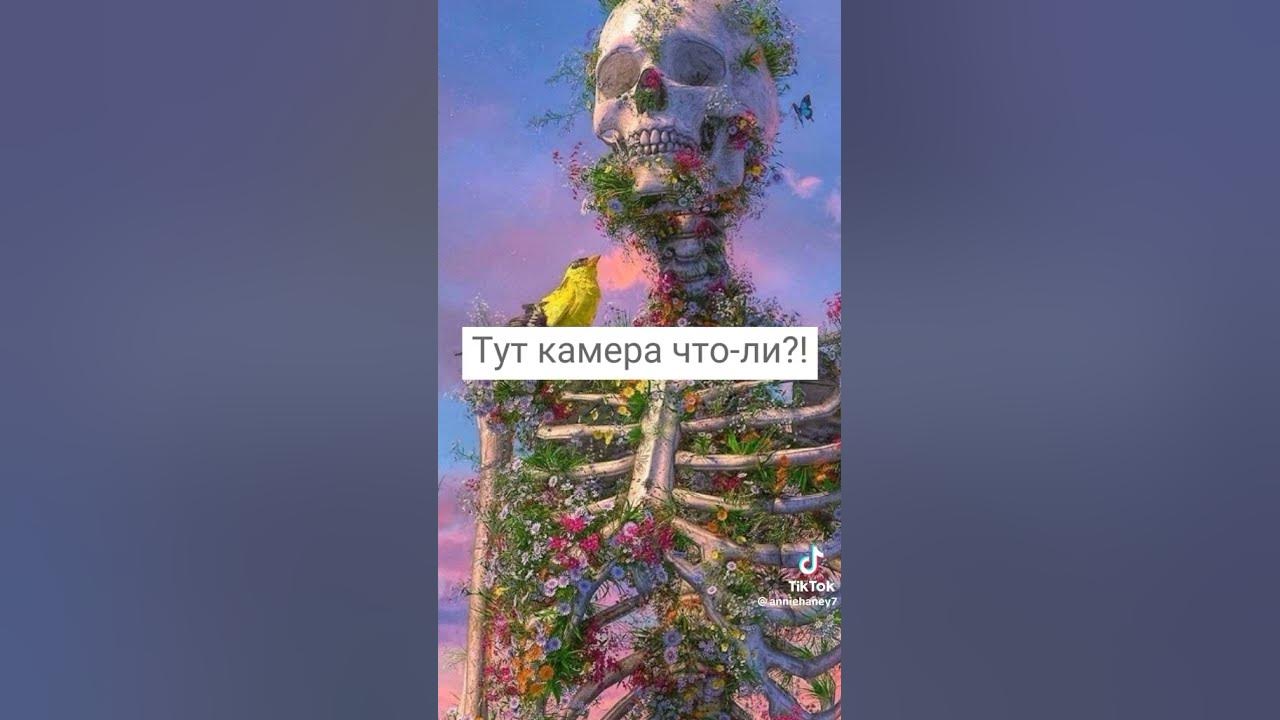 смешные звуки для видео!!! - YouTube