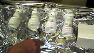 The Beginning (Grow Box)