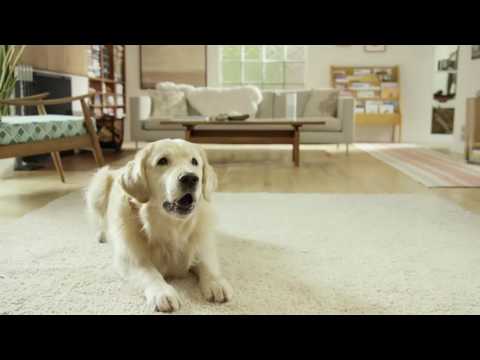 Amazon Alexa Moments: Petlexa (Amazon Echo Commercial)