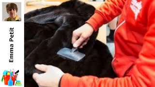 Guide Pratique Comment Laver Et Entretenir Votre Fourrure Comme Un Pro