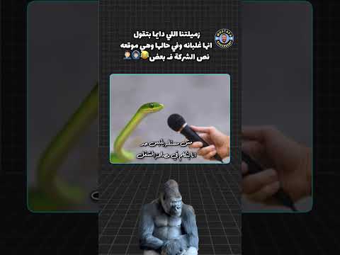 زميلتنا اللي دايما بتقول انها غلبانه وفي حالها وهي موقعه نص الشركة ف بعض
