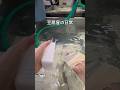 豆腐屋の日常 #三代目 #豆腐 #豆腐屋 #日常 #美味しい
