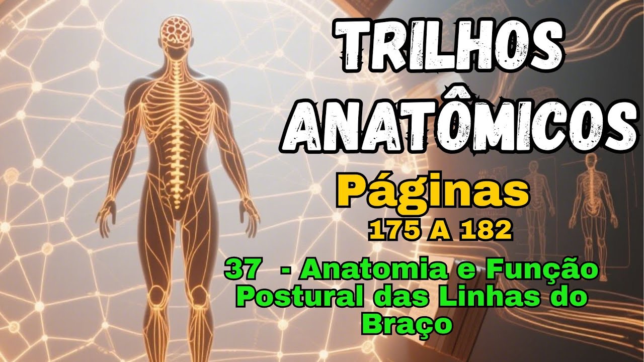 Trilhos Anatômicos -   Páginas  175 A 182