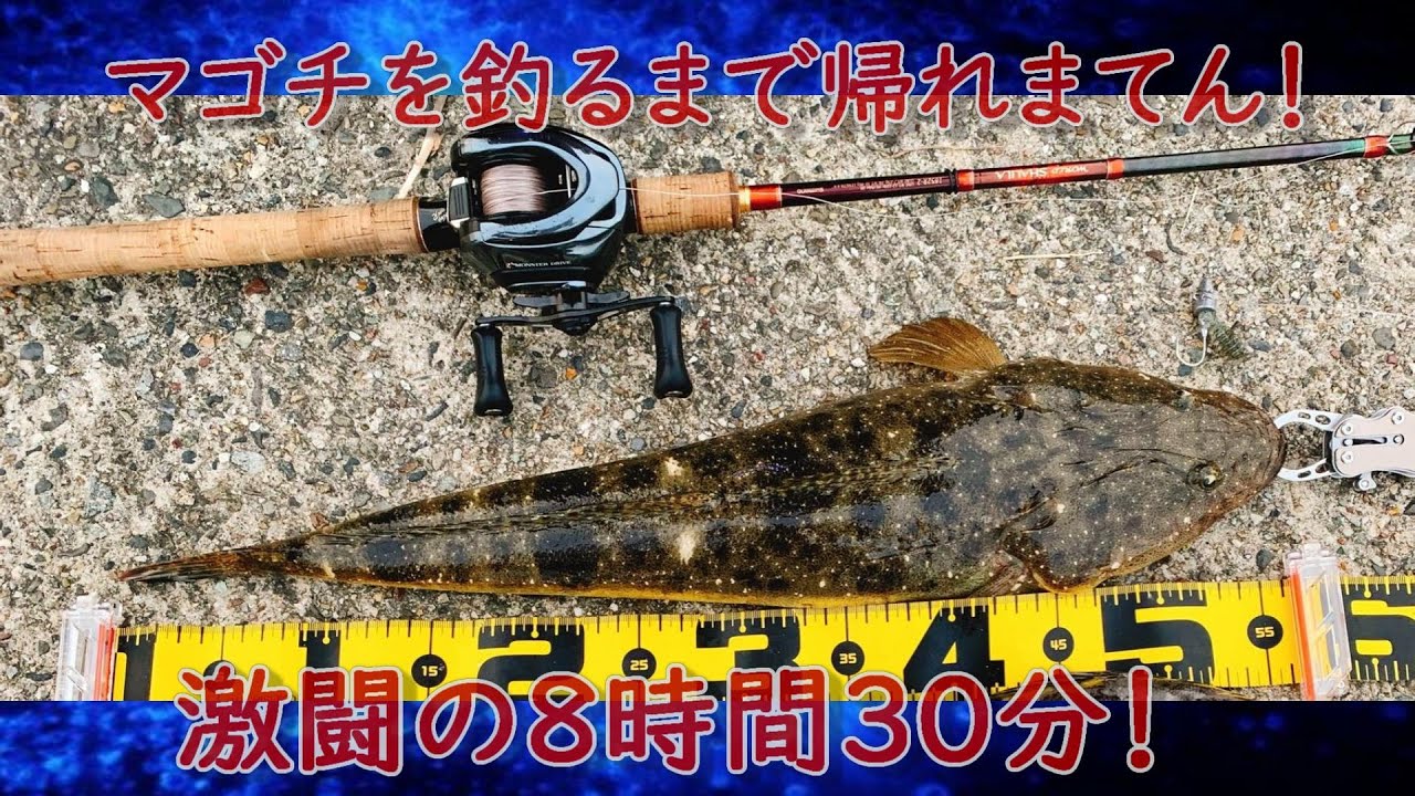 こんな用水路にアリゲーターガーがいるなんて Youtube