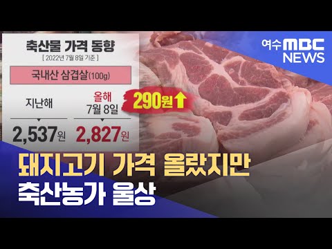 <strong>돼지고기</strong> <strong>가격</strong> 올랐지만. .축산농가 울상 -R(220718월/뉴스투데이)