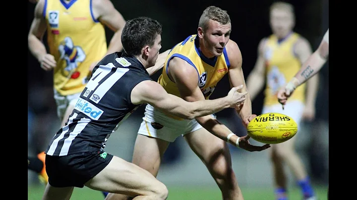 Brett Bewley v Collingwood