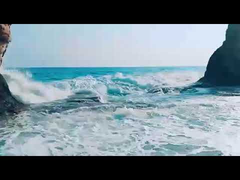 حالات واتساب 