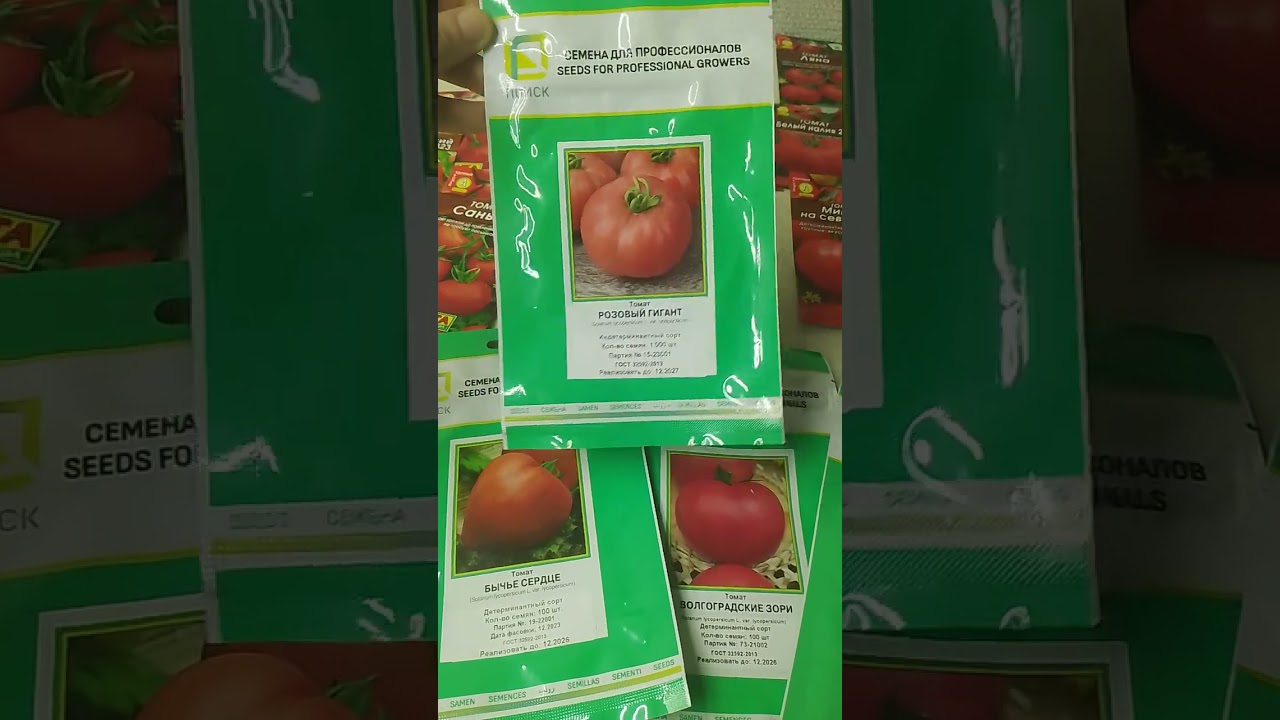 Поговорим сегодня о семенах томата. 