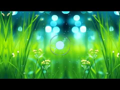 MAGIC! - Rude   (ARMNHMR & AVELLO Remix)