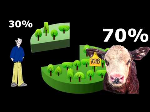 Video: ¿Por qué deberíamos reducir nuestra huella ecológica?