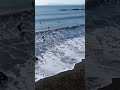 浜辺の人々がいきなり走り出した #ドローン映像