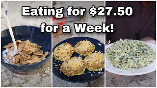 Eating for $27.50 for a Week from Dollar Tree | How to Stretch Food | Low Grocery Budget Meals