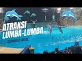 ATRAKSI LUMBA-LUMBA ANCOL TERBARU ‼️ LIBURAN KELUARGA DI SAMUDERA ANCOL
