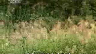 20090923-3《靜思晨語。法譬如水》為福莫倦