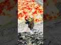 School Bus vs giant lava pit