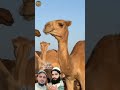 Poshto hamdi pak pa awaz da khushal ahmad jawadi muhammad Asim dewana