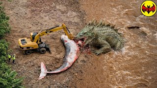 This Biologist Recorded Something Science Can’t Explain