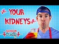 How Do Your KIDNEYS Work? | Science for Kids | @Operation Ouch