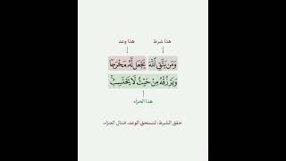 تلاوة هادئة ❤️ #اكسبلور #المصحف #quran #لايك #كومنت #شير #قرآن #new #سورة #الله #رزق  #راحة_نفسية