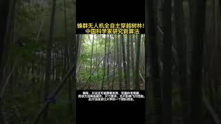 蜂群无人机穿越竹林，自主计算路径。中国科技 无人机 浙江大学