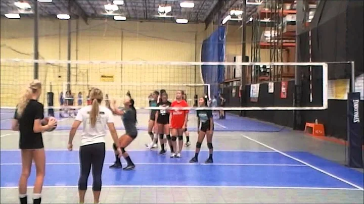 Debbie Green Setter's Camp
