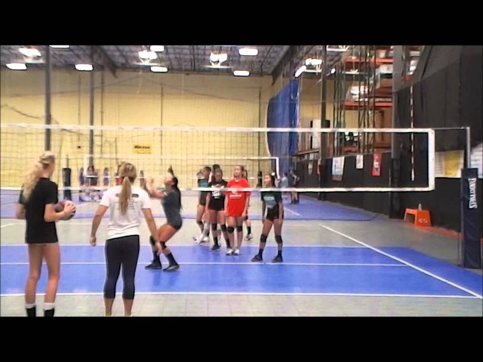 Debbie Green Setter's Camp YouTube