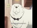 ヨールさんのおっしゃる通りです #spyxfamily #アニメ #アーニャ #anime #shorts