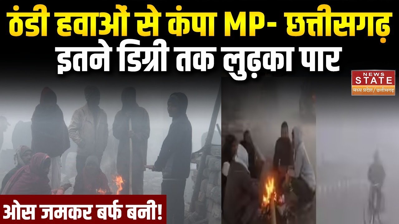 MP-CG Weather Update : Dense Fog की चपेट में MP- Chhattisgarh, कई जिलों में Cold Wave का Alert जारी