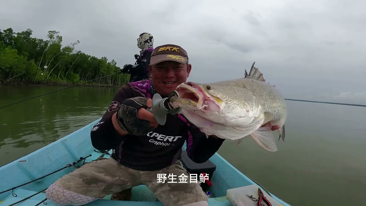 Видеоблог рыболовного сообщества № 202. Идеальная рыбалка на приманку в конце 2025 года.