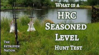 What Is an HRC SEASONED Hunt Test?~Find out here!~Lots of Action and Fast Moving Elements! ~TRN